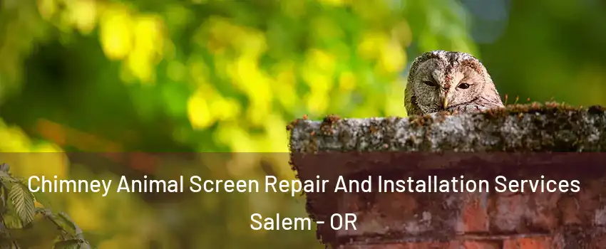 Chimney Animal Screen Repair And Installation Services Salem - OR