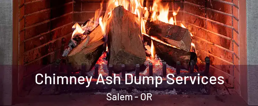  Chimney Ash Dump Services Salem - OR