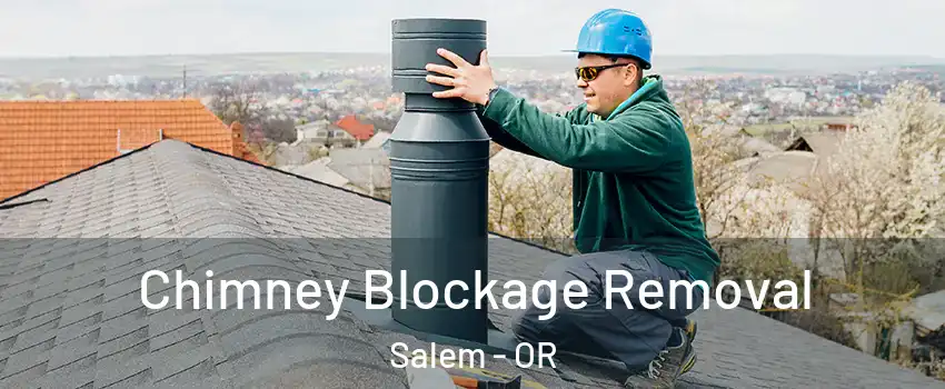 Chimney Blockage Removal Salem - OR