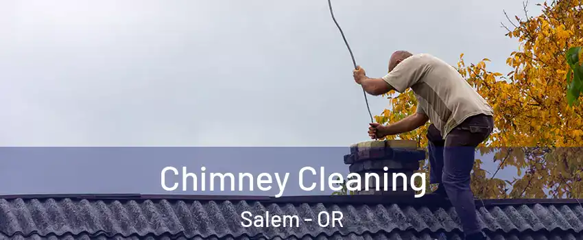  Chimney Cleaning Salem - OR