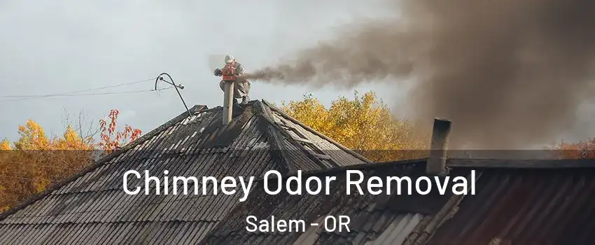  Chimney Odor Removal Salem - OR