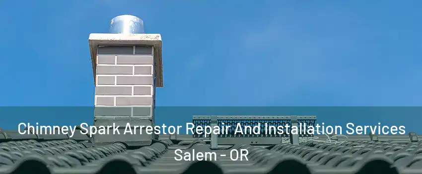  Chimney Spark Arrestor Repair And Installation Services Salem - OR