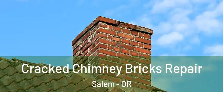  Cracked Chimney Bricks Repair Salem - OR