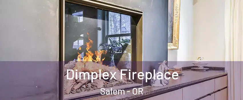  Dimplex Fireplace Salem - OR
