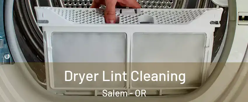  Dryer Lint Cleaning Salem - OR