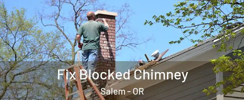  Fix Blocked Chimney Salem - OR