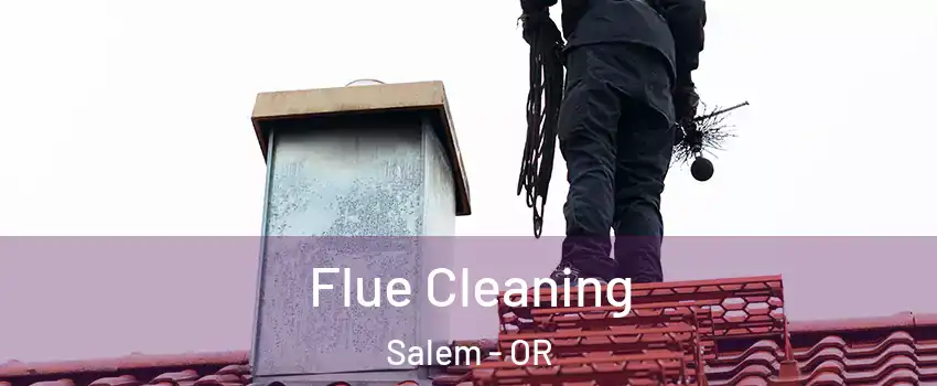  Flue Cleaning Salem - OR