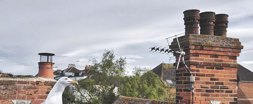 Chimney Cleaning And Restoration in Salem, Oregon