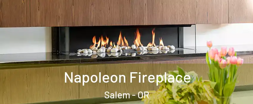  Napoleon Fireplace Salem - OR